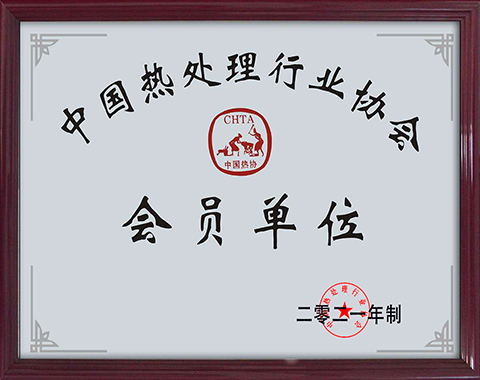  Member Of China Heat Treatment Industry Association